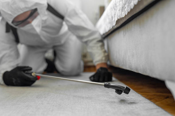 Professional Bed Bug Control technician working in Longtown, OK